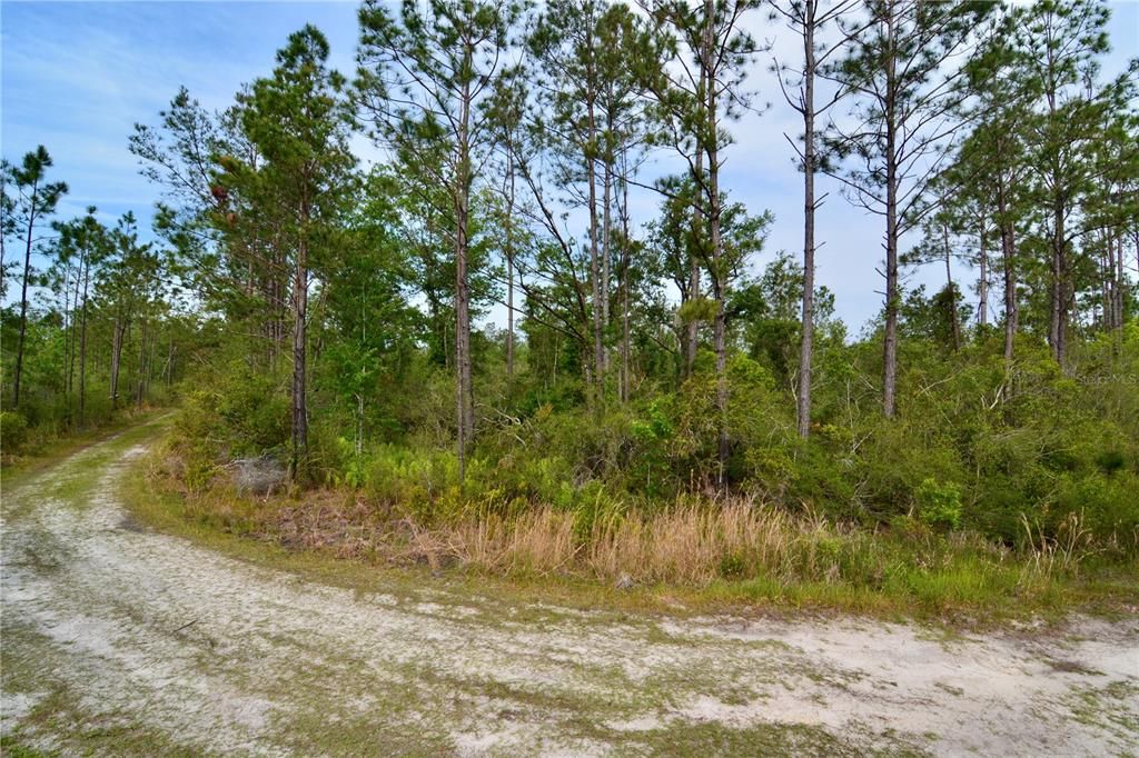 待售: $399,999 (93.63 acres)