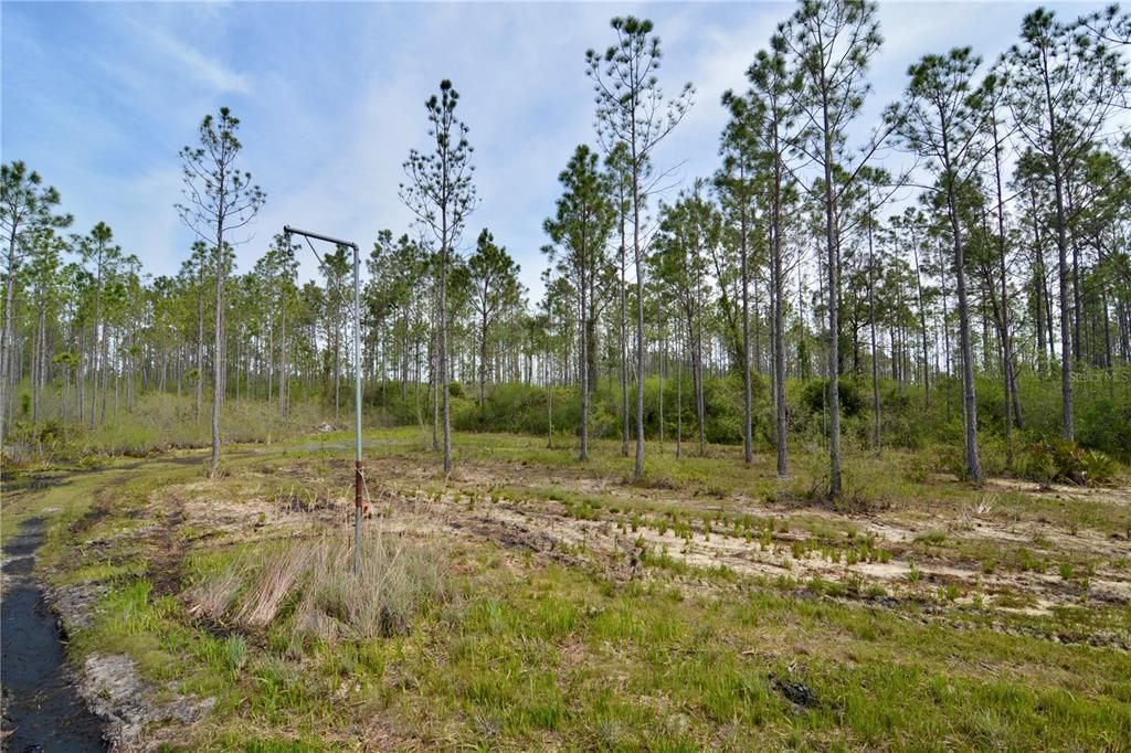 待售: $399,999 (93.63 acres)