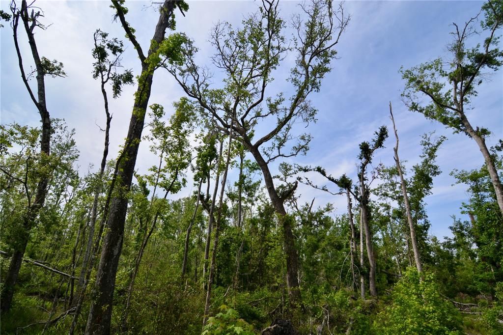 待售: $399,999 (93.63 acres)