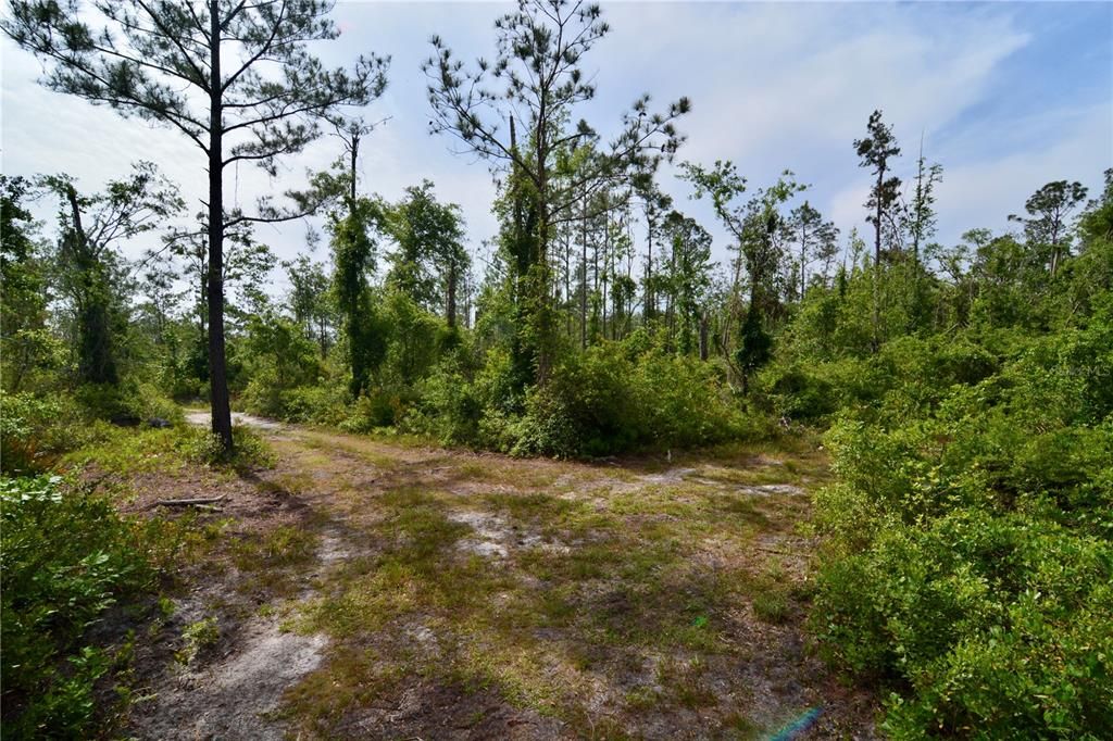 待售: $399,999 (93.63 acres)