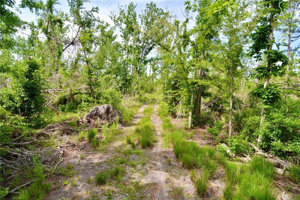 待售: $399,999 (93.63 acres)