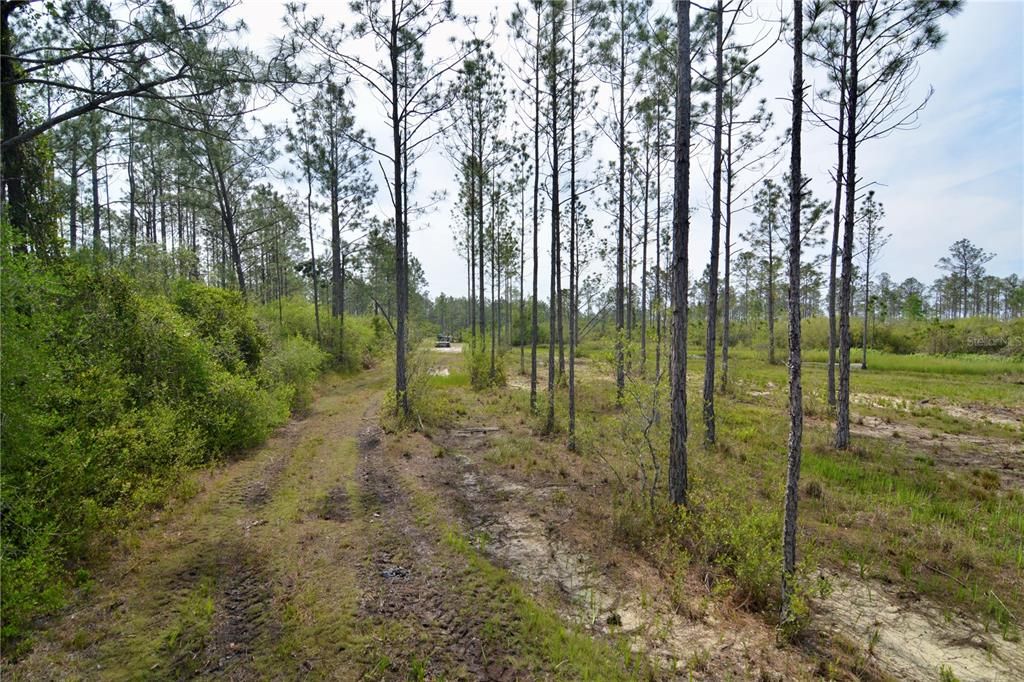 待售: $399,999 (93.63 acres)