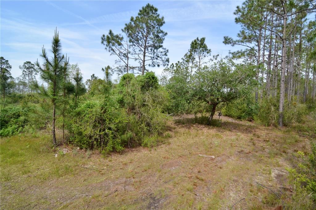 待售: $399,999 (93.63 acres)