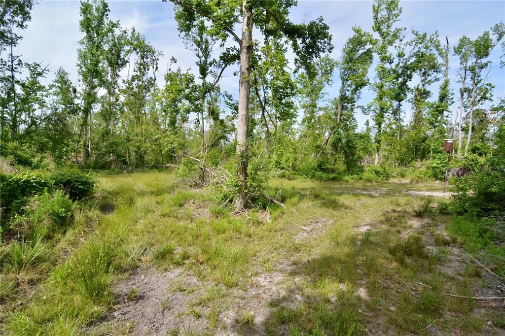 待售: $399,999 (93.63 acres)