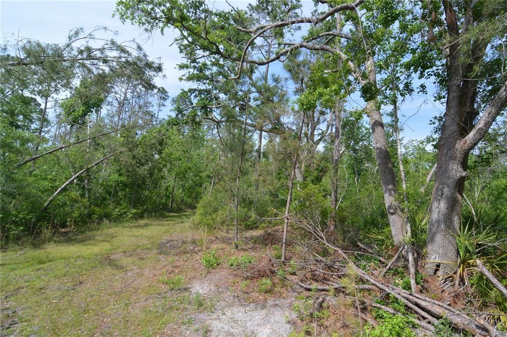 待售: $399,999 (93.63 acres)