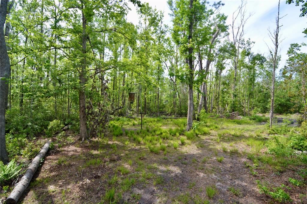 待售: $399,999 (93.63 acres)