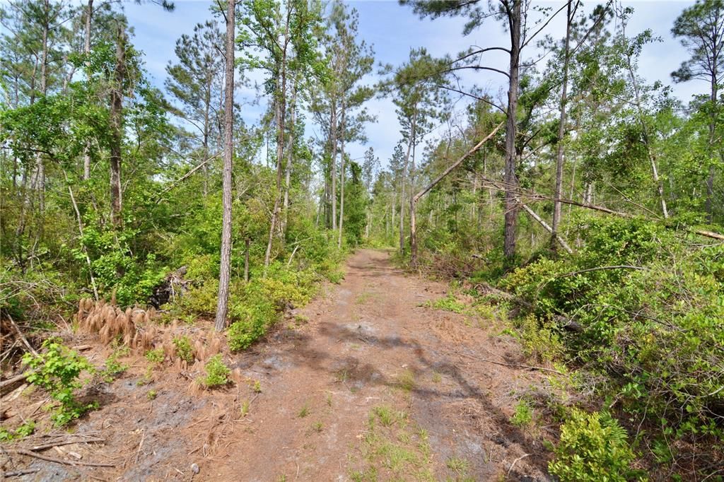 待售: $399,999 (93.63 acres)