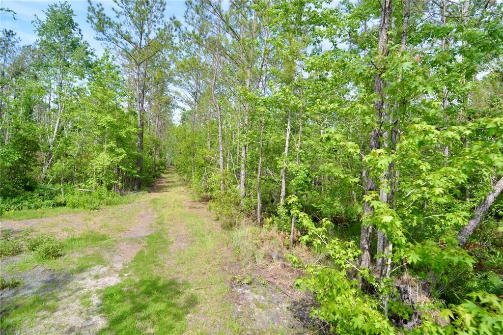 待售: $399,999 (93.63 acres)