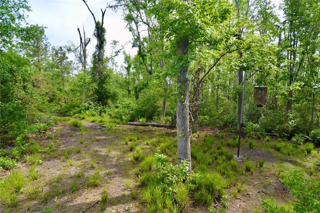 待售: $399,999 (93.63 acres)