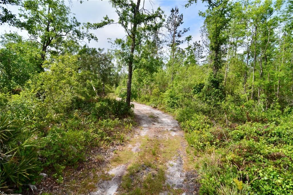 待售: $399,999 (93.63 acres)