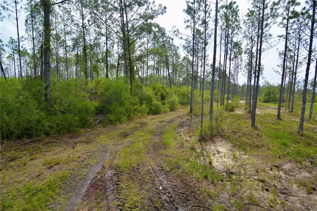 待售: $399,999 (93.63 acres)