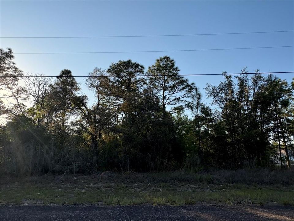 На продажу: $22,000 (0.23 acres)