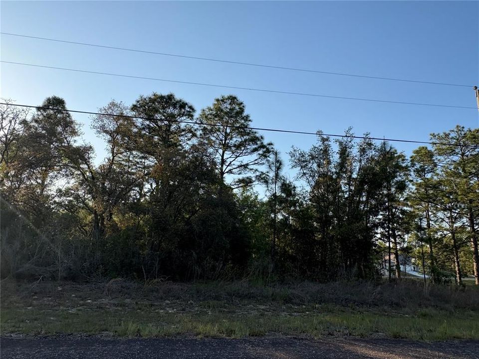 На продажу: $22,000 (0.23 acres)