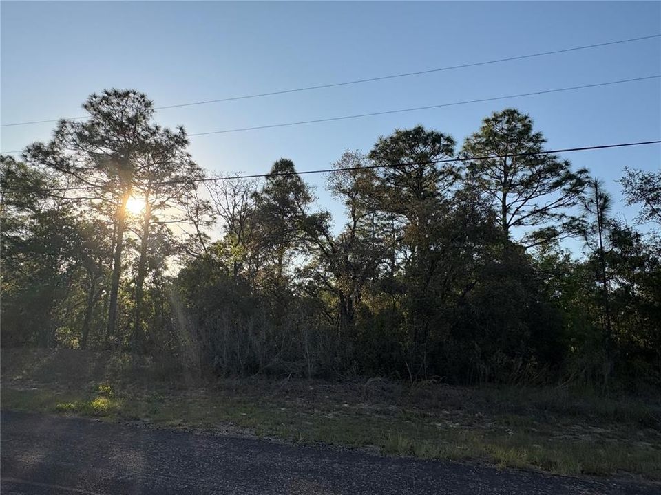 На продажу: $22,000 (0.23 acres)