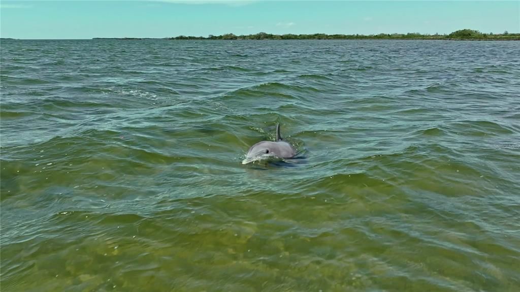 For Sale: $1,350,000 (3 beds, 3 baths, 1500 Square Feet)