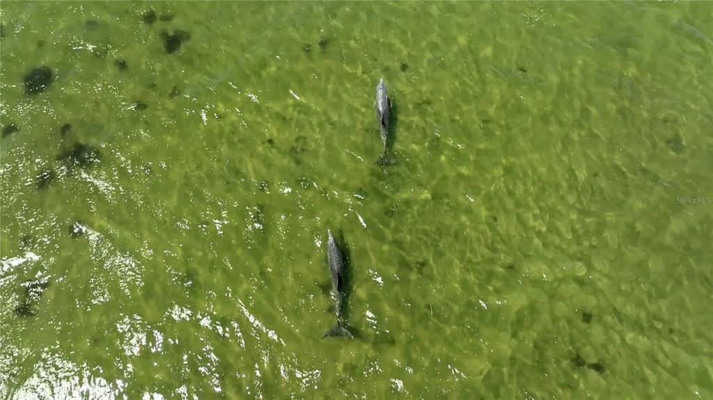 For Sale: $1,350,000 (3 beds, 3 baths, 1500 Square Feet)