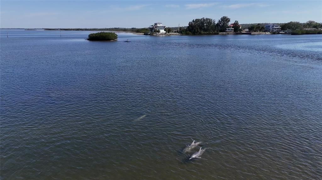 For Sale: $1,350,000 (3 beds, 3 baths, 1500 Square Feet)