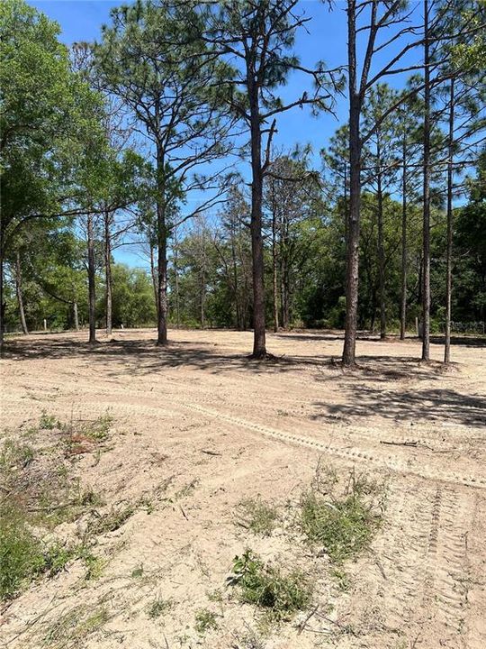 En Venta: $39,000 (0.49 acres)