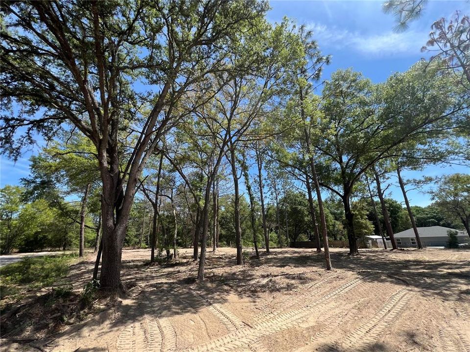 En Venta: $39,000 (0.49 acres)