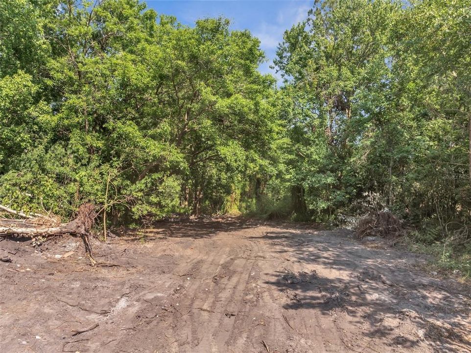 For Sale: $205,000 (4.89 acres)