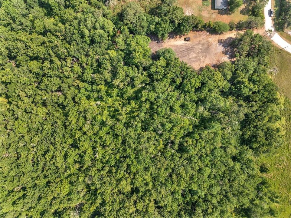 For Sale: $205,000 (4.89 acres)