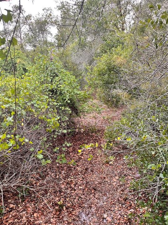 For Sale: $49,999 (0.46 acres)