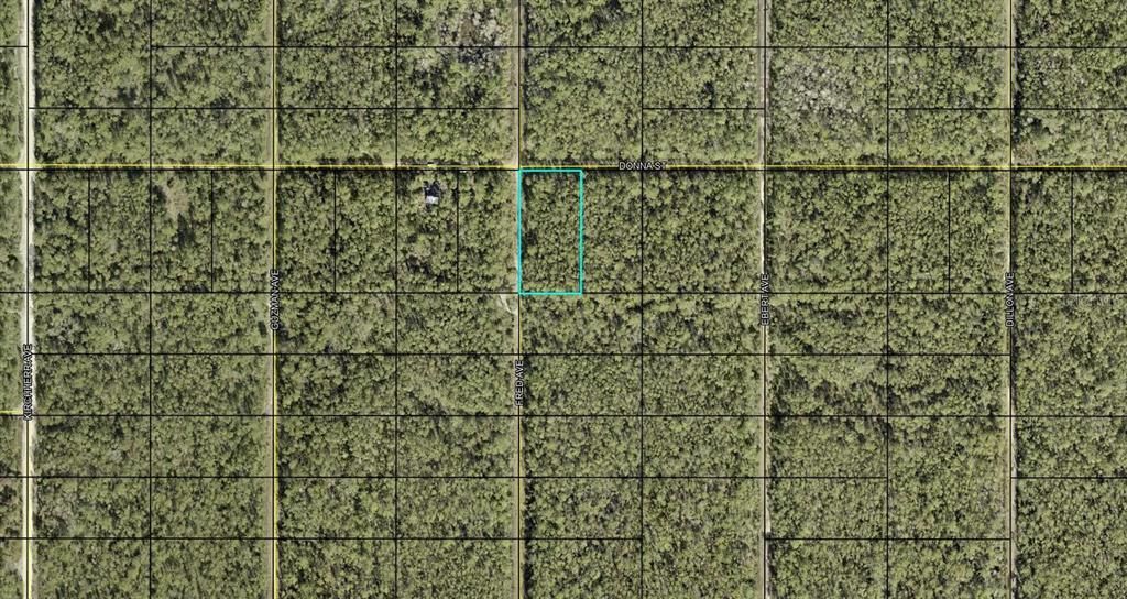 For Sale: $11,000 (1.25 acres)