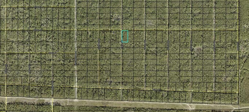For Sale: $11,000 (1.25 acres)