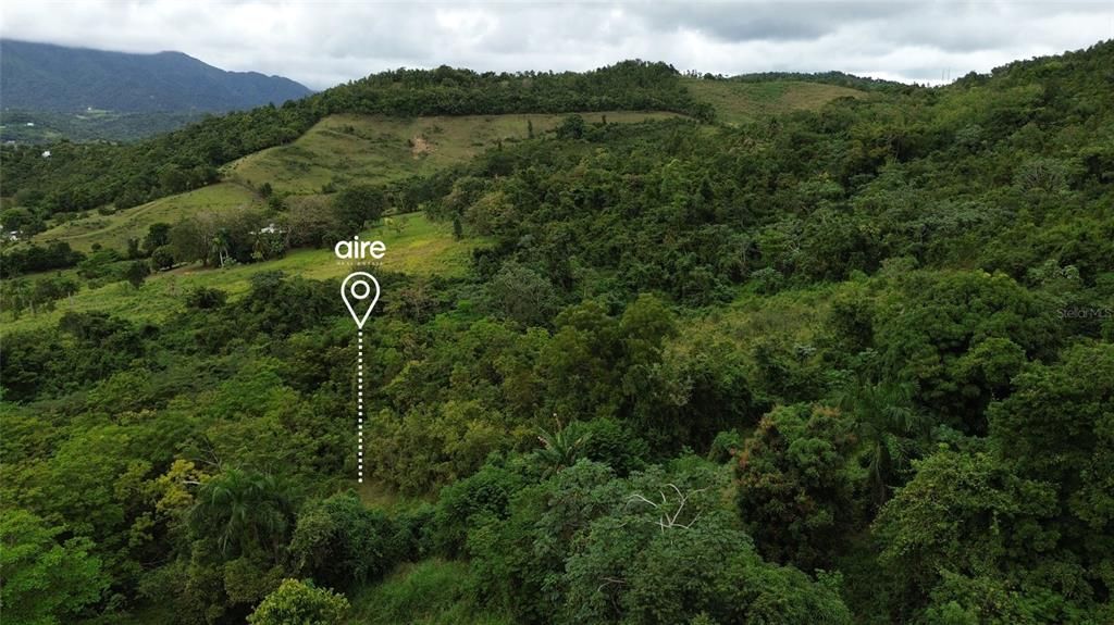 For Sale: $150,000 (5.06 acres)