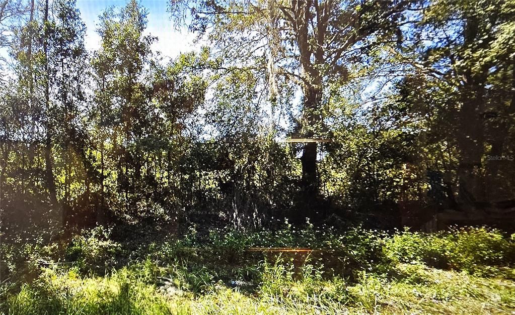 For Sale: $50,000 (1.02 acres)