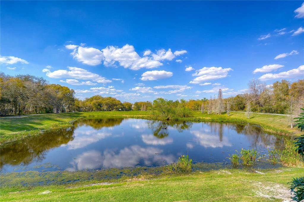 待售: $1,150,000 (5 贝兹, 5 浴室, 4653 平方英尺)