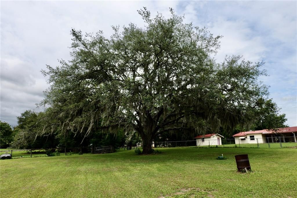 For Sale: $650,000 (3 beds, 3 baths, 2144 Square Feet)