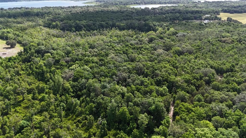 Vendido Recientemente: $399,999 (46.89 acres)