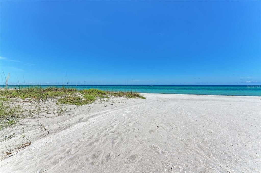 В аренду: $7,800 (2 спален, 2 ванн, 1393 Квадратных фут)