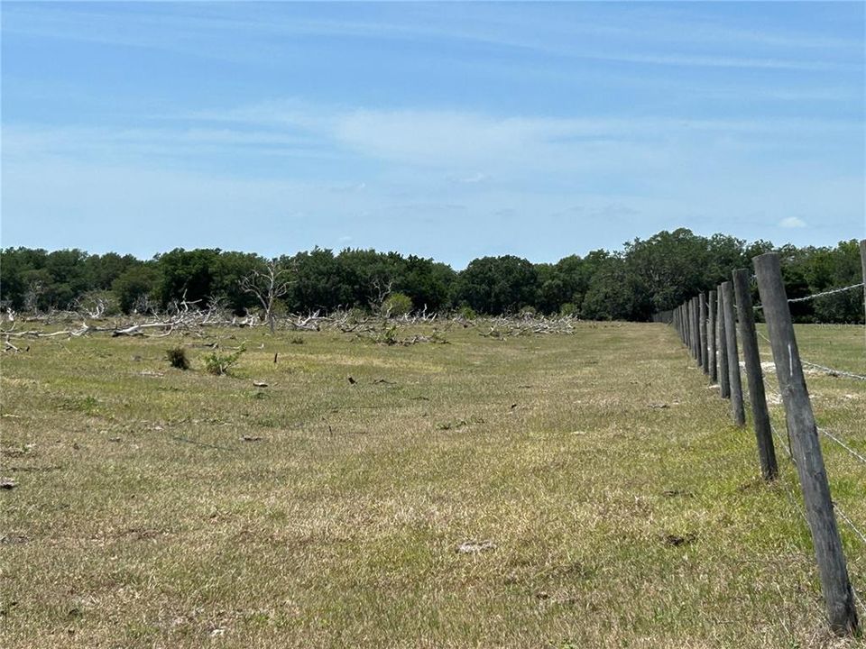 For Sale: $6,305,750 (22.93 acres)