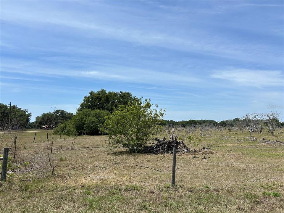 For Sale: $6,305,750 (22.93 acres)