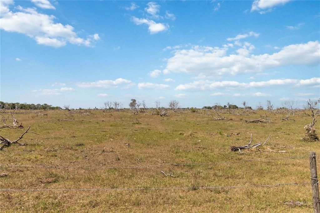 For Sale: $6,305,750 (22.93 acres)