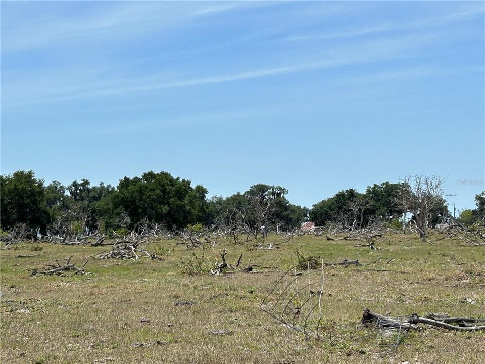 For Sale: $6,305,750 (22.93 acres)