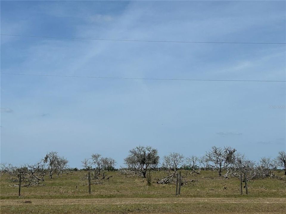 For Sale: $6,305,750 (22.93 acres)