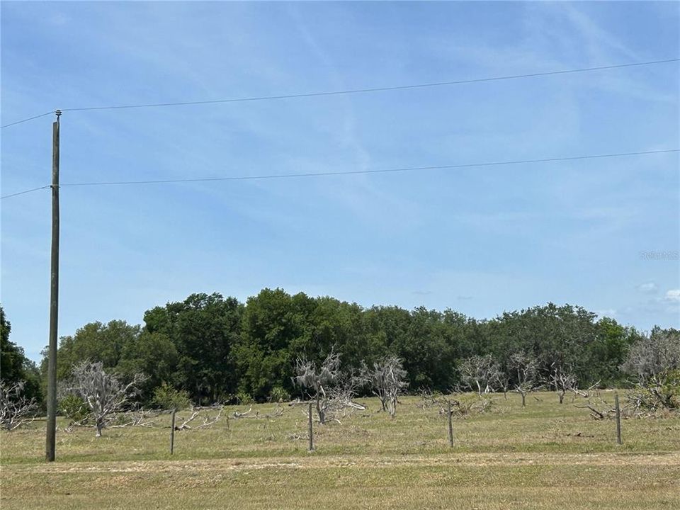 For Sale: $6,305,750 (22.93 acres)