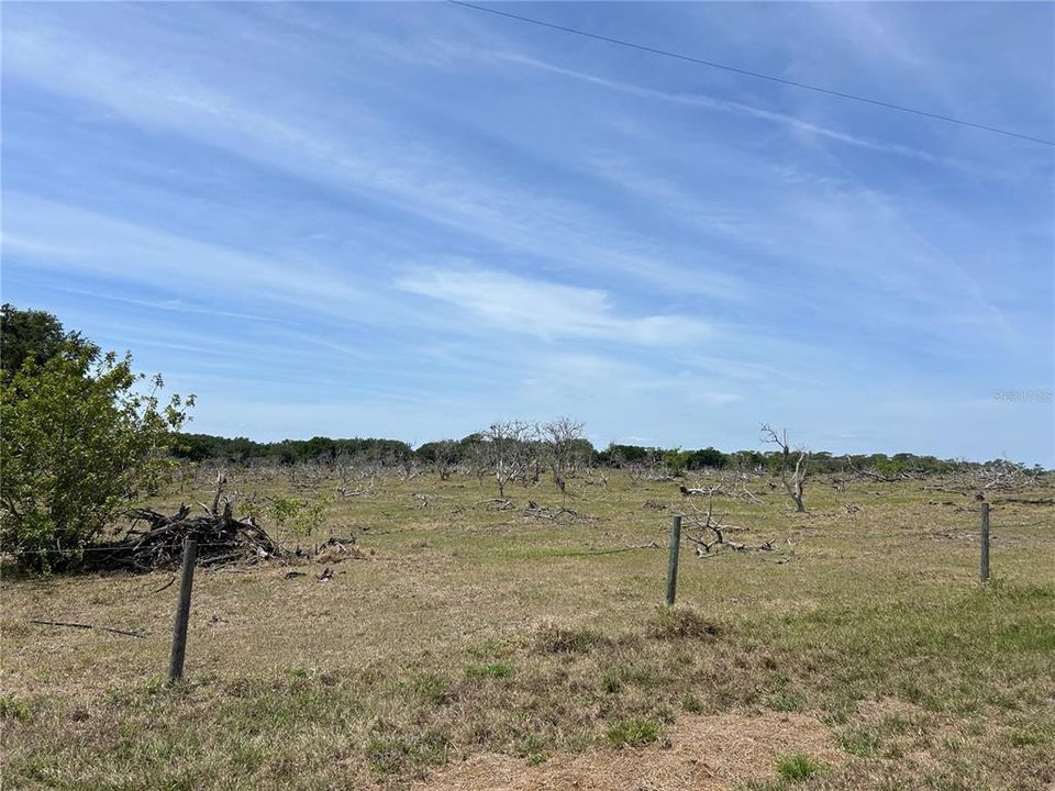 For Sale: $6,305,750 (22.93 acres)