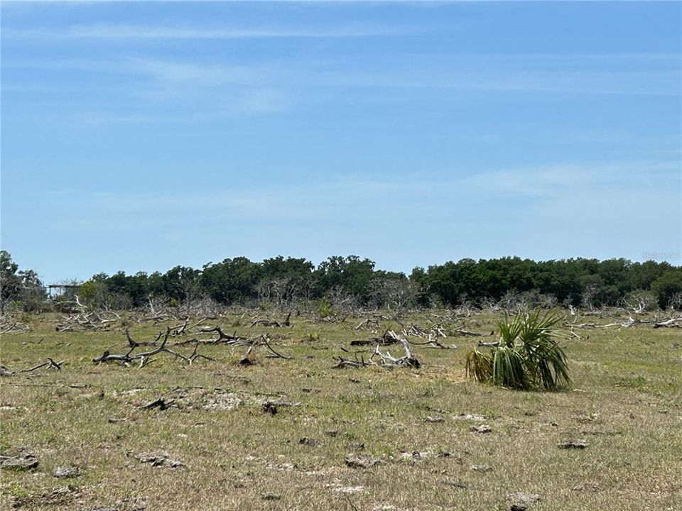 For Sale: $6,305,750 (22.93 acres)