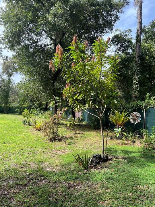 Active With Contract: $280,000 (3 beds, 2 baths, 1120 Square Feet)