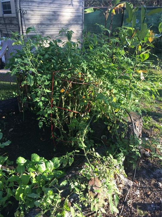 Active With Contract: $280,000 (3 beds, 2 baths, 1120 Square Feet)