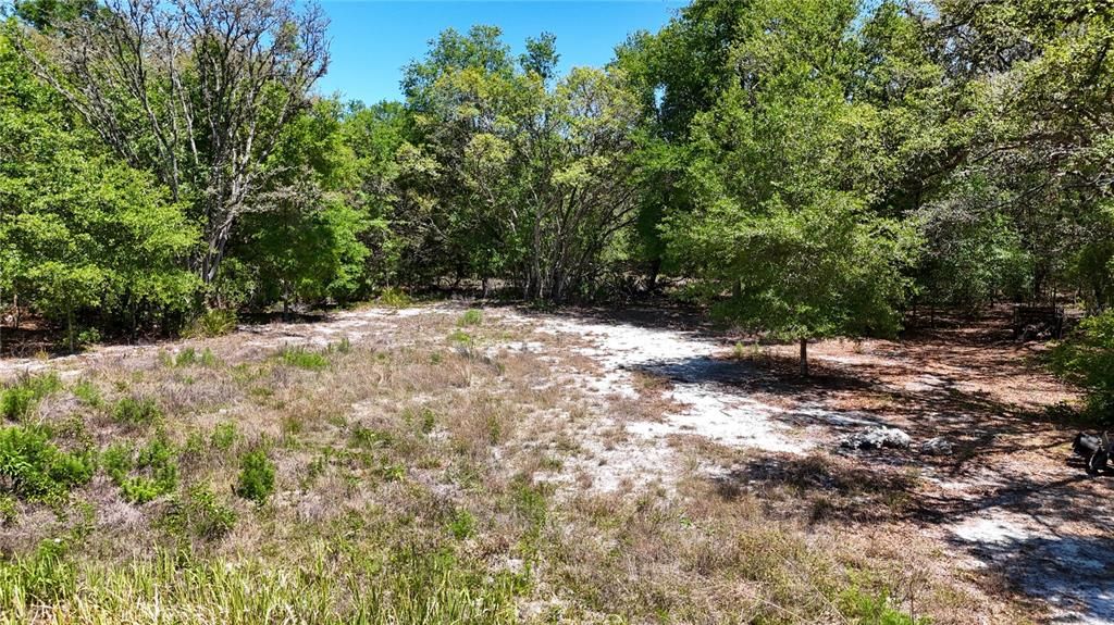 На продажу: $82,500 (1.74 acres)