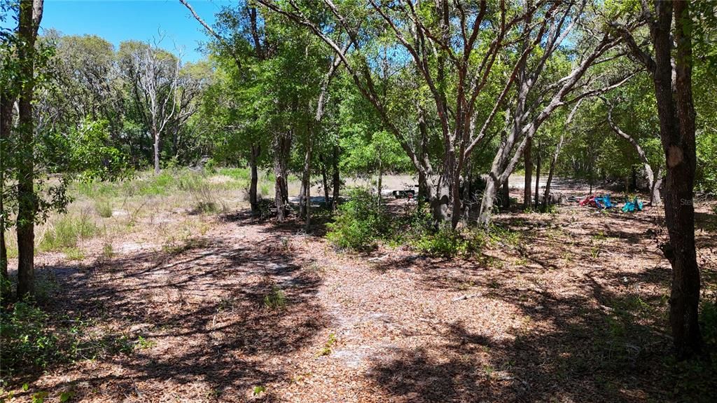 На продажу: $82,500 (1.74 acres)