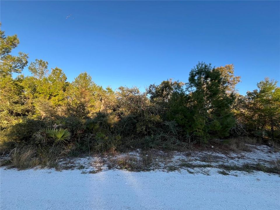 Recently Sold: $9,500 (0.29 acres)