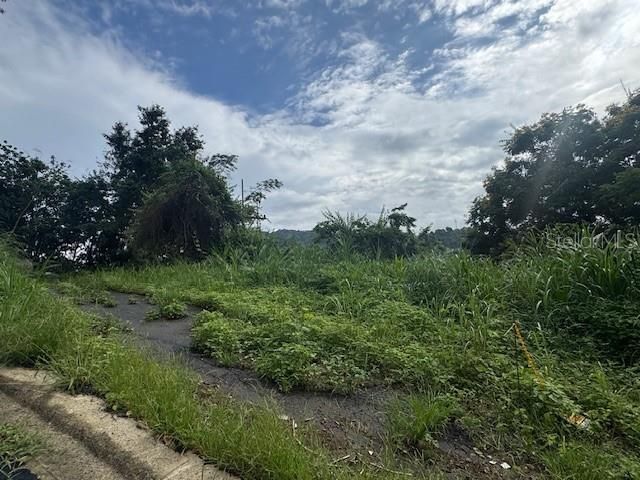 En Venta: $150,000 (0.54 acres)