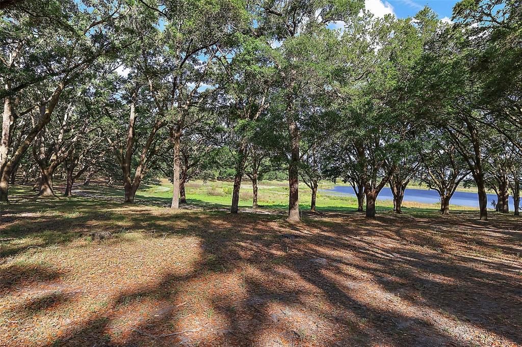 For Sale: $995,000 (3 beds, 2 baths, 2485 Square Feet)