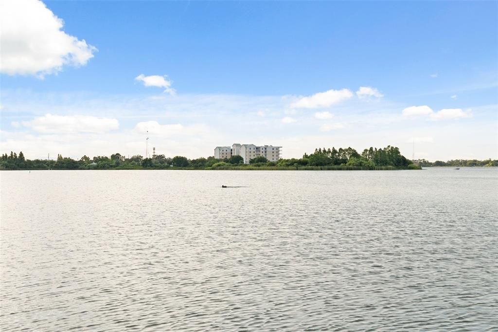 Под контрактом: $2,250,000 (2.73 acres)